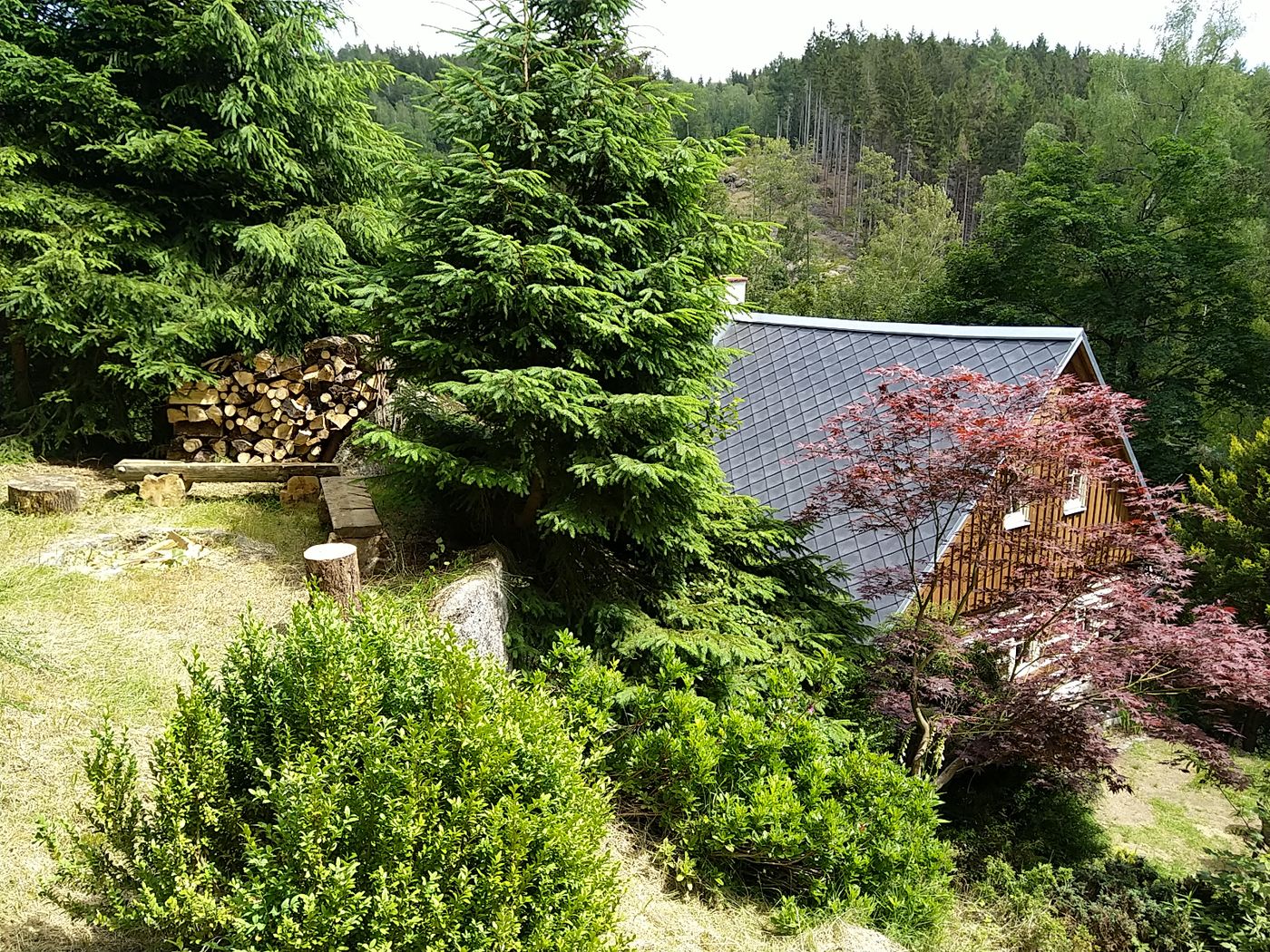 Chaloupka – střecha chaloupky mezi stromy, zahrada s dřevníkem